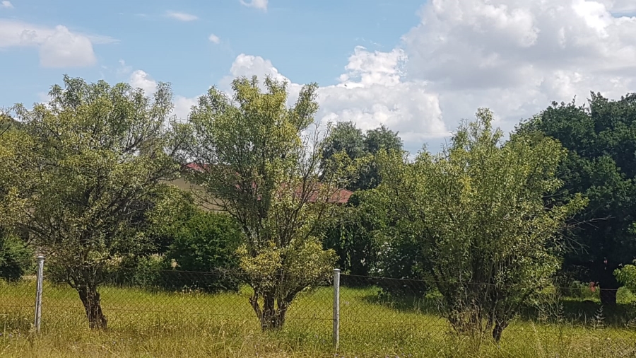 3 Bedroom Property for Sale in Hobhouse Free State